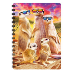 Obrázek z Notes 3D 11x14cm - surikaty (10) 